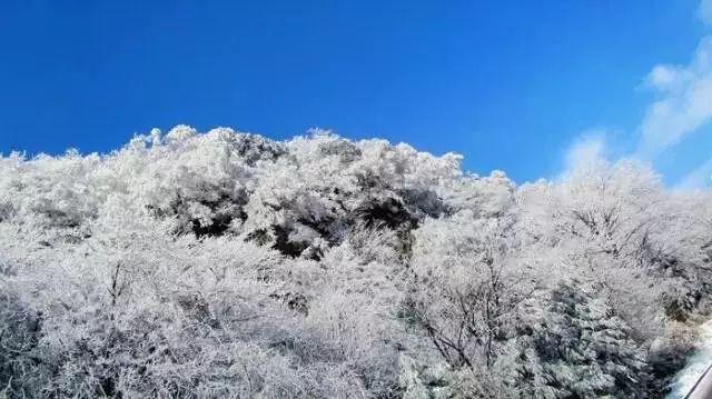鹰击长空2