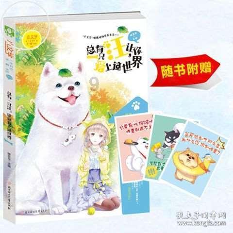 寻找迷路的松鼠